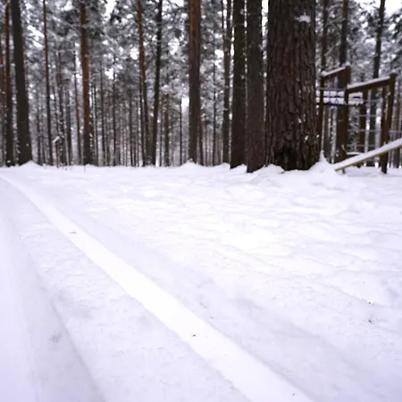 Home Aurora - Loft-Sauna-Wifi Rovaniemi Exterior photo
